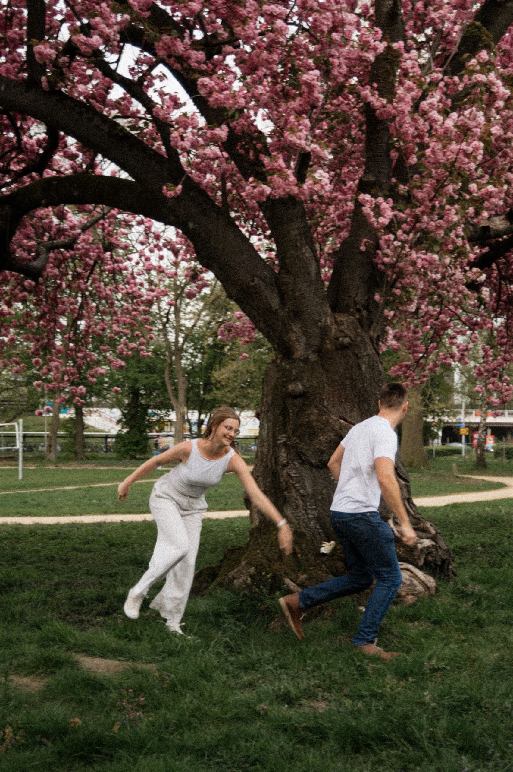 Couple standing beneath a flowering pink tree in the park.