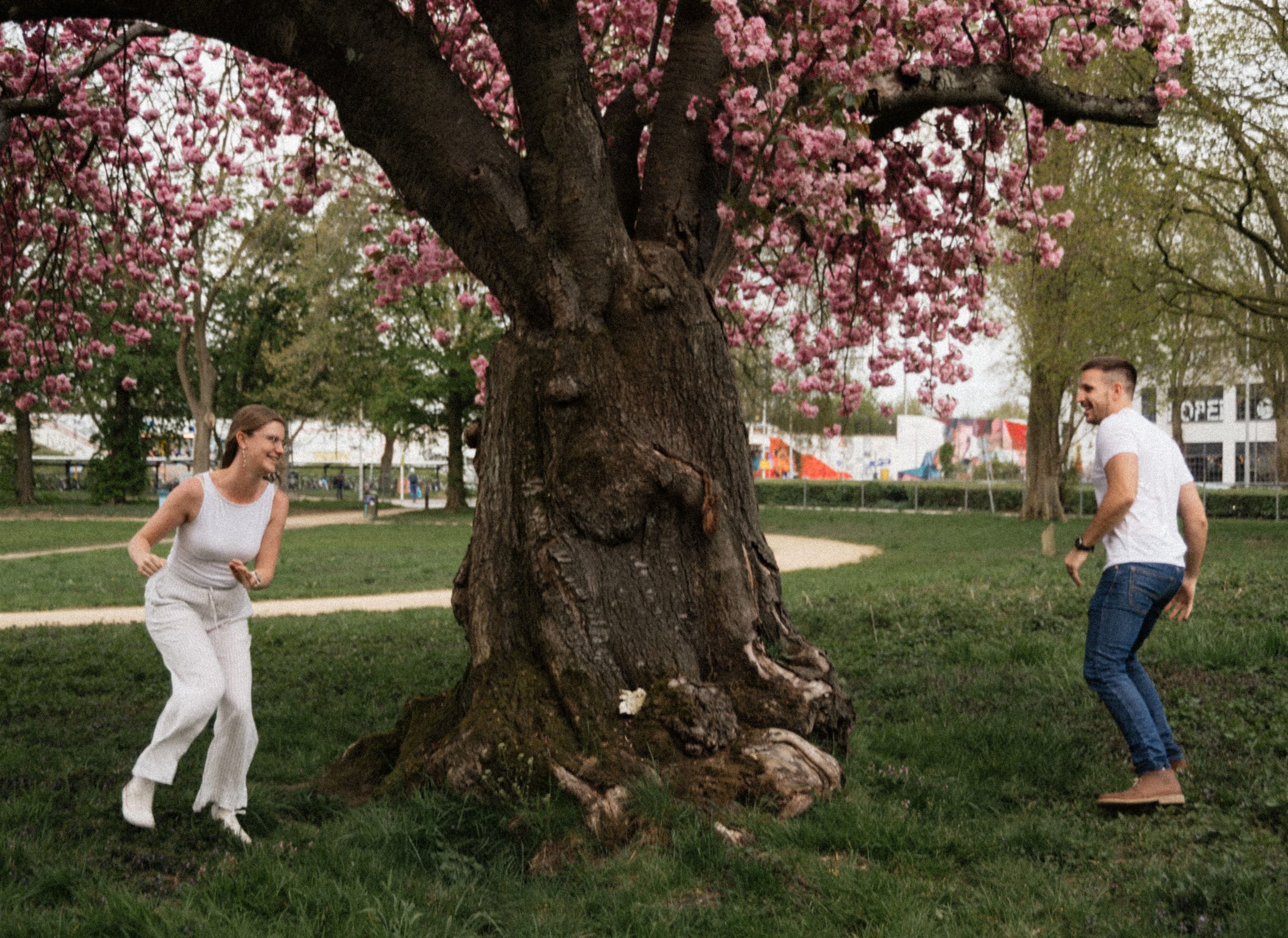 Couple playing beneath a pink blossoming tree in the park.
