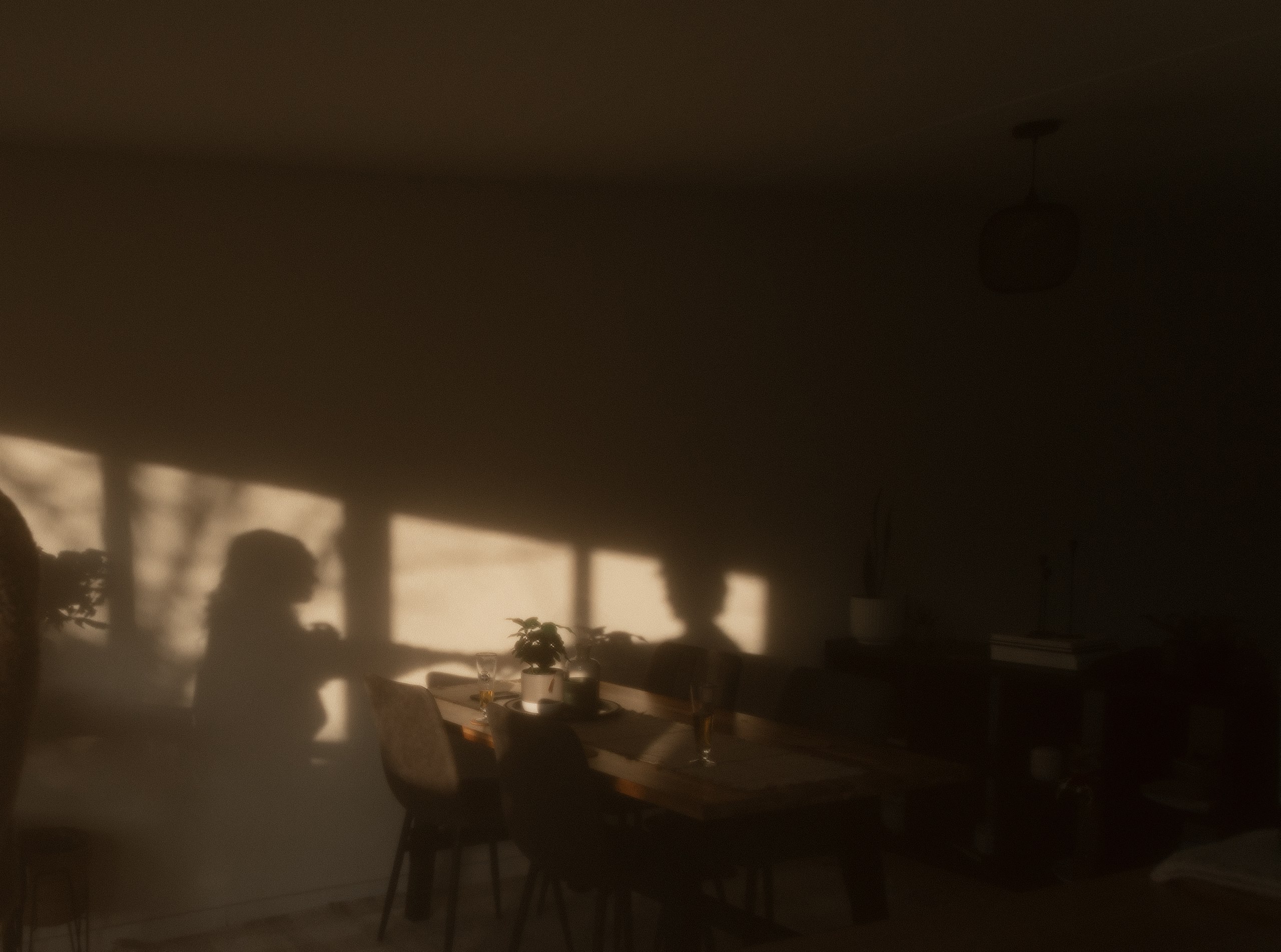 Soft shadow of a couple sharing a quiet moment at home.